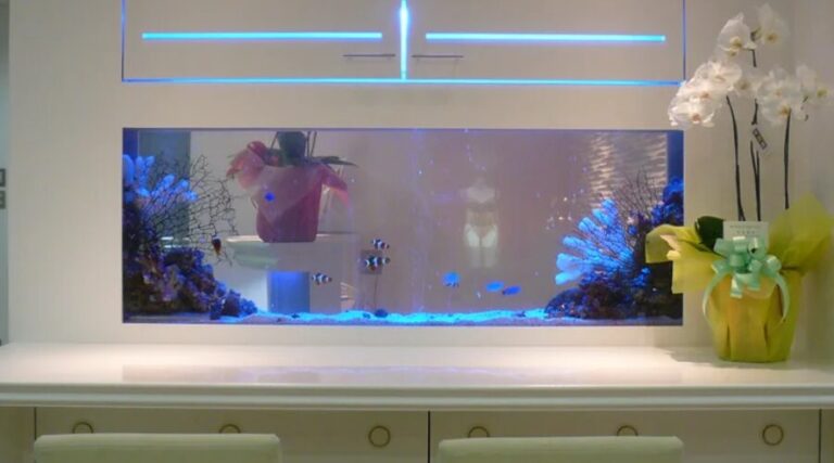 デスク用デザイナーズ水槽